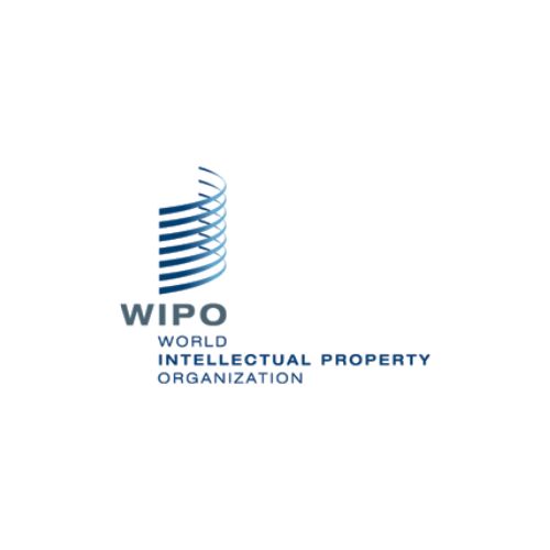 WIPO Domain Name Decisions
