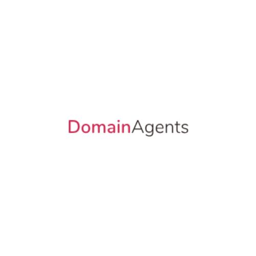 Domain Agents
